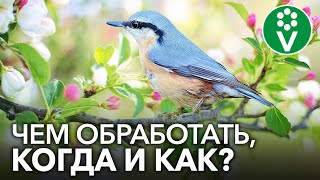 Прикормка для плодовых деревьев