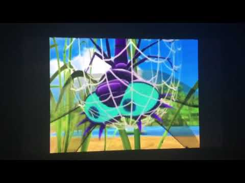 Miss spiders sunny patch friends what a tangled web