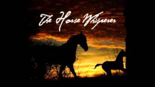 Thomas Newman - Montana (The Horse Whisperer Soundtrack)
