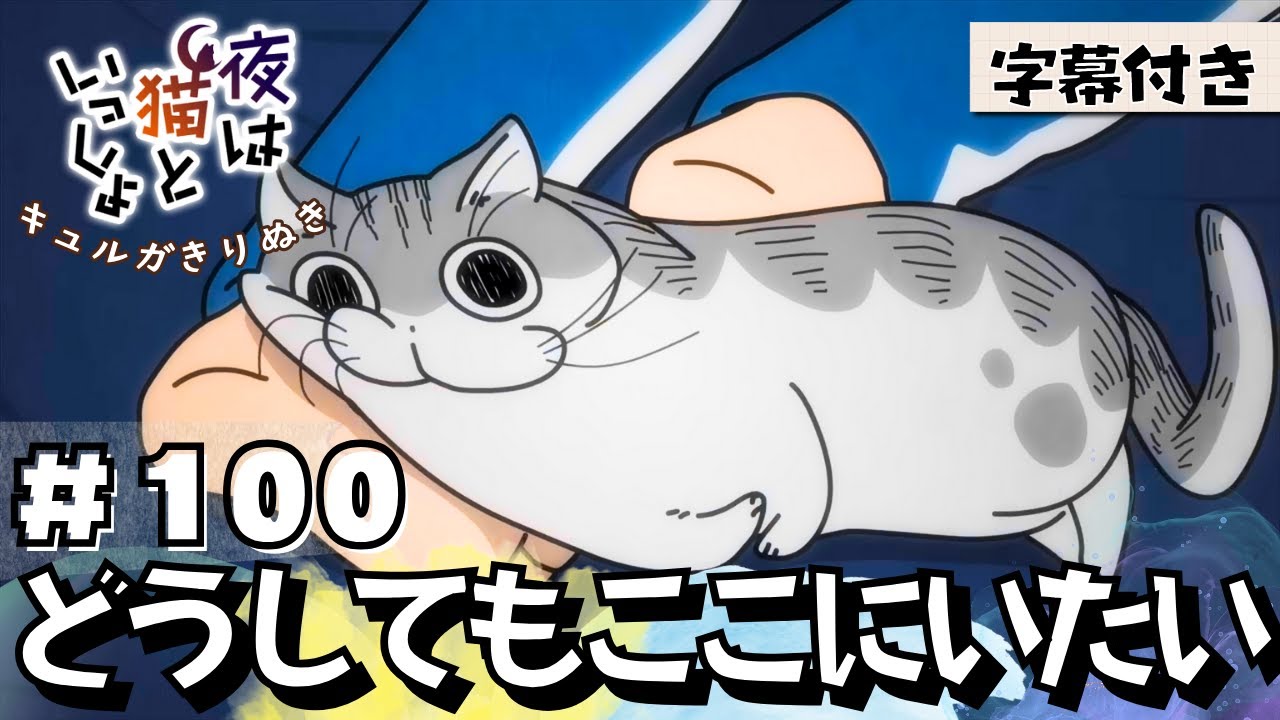 猫のキュルガ【夜は猫といっしょ:100夜目】(字幕付き)