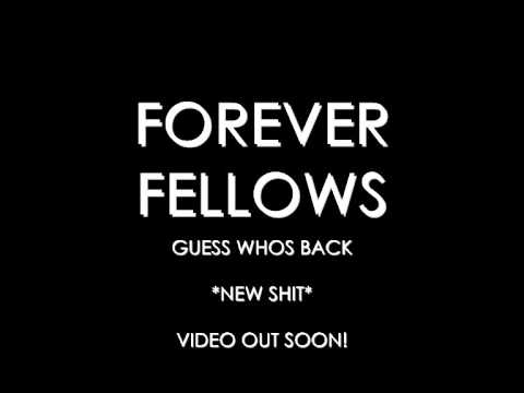 FOREVER FELLOWS - GUESS WHOS BACK