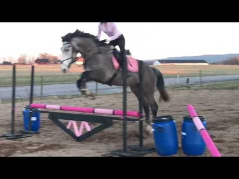 170326 - Hevala - Carrera - Nevala - Lux Z