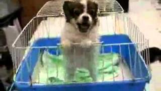 [問卦] 阿瑋現在過得好嗎????