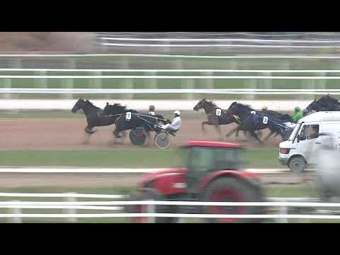 2020.10.24. 06. futam - DINGÓ HENDIKEP II. RÉSZ