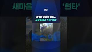 갑질 폭로에 '판단 잘해라' 협박한 이사장 #shorts / KBS