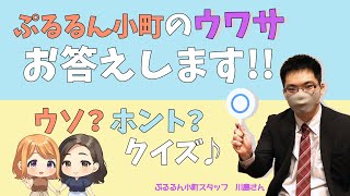 求人動画