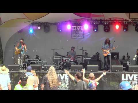 06 Dangermuffin at Disc Jam Music Festival