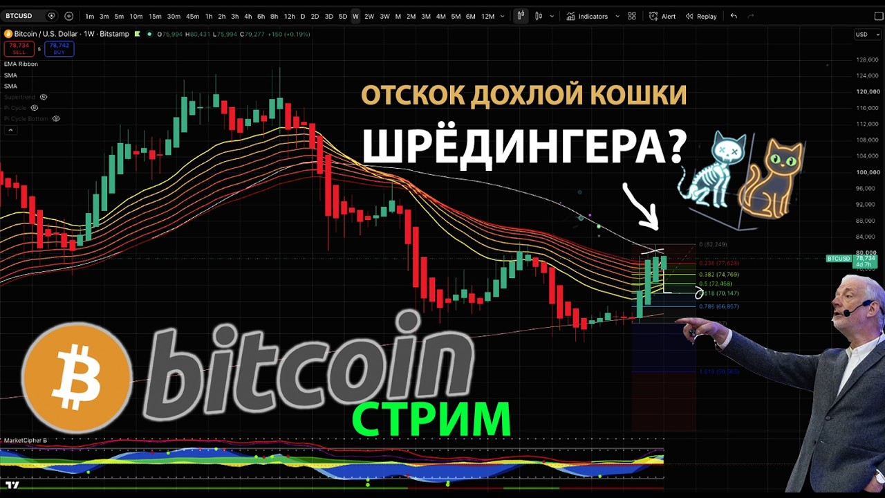 ОТСКОК ДОХЛОЙ КОШКИ 🐈  ШРЁДИНГЕРА В ПРЯМОМ ЭФИРИУМЕ
