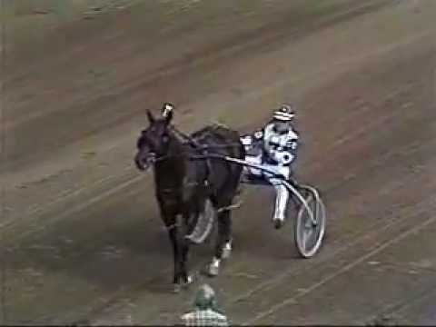 1980 Red Mile Lexington NIATROSS Time Trial