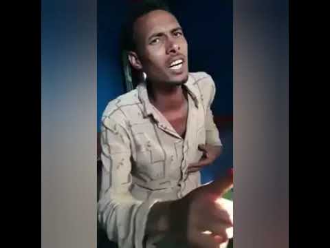 walaloo bayyee namatolu