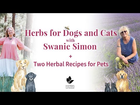 Safe Herbs for Dogs and Cats with Swanie Simon + Two Herbal Recipes for Pets