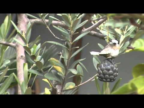 Un zâmbet...și-o floare!