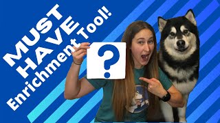 The Best Beginner Friendly Enrichment Tool For Puppies and Dogs