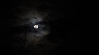 Shabutie - Strung Short HQ + Lyrics