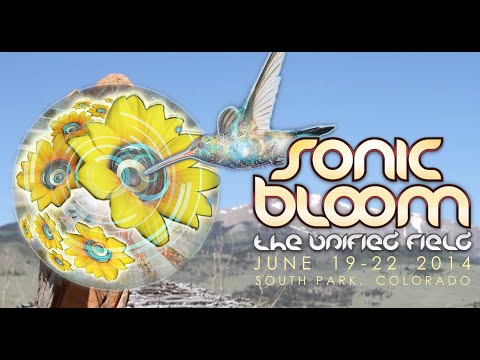 Sonic Bloom 2014 - Recap Video