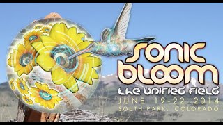 Sonic Bloom 2014 - Recap Video