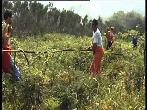 Vídeo: A activista feminista e ecoloxista Mabel Rivera locuta e produce a curtametraxe <cite>Incendios</cite>