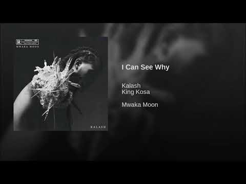 Kalash  I Can See Why