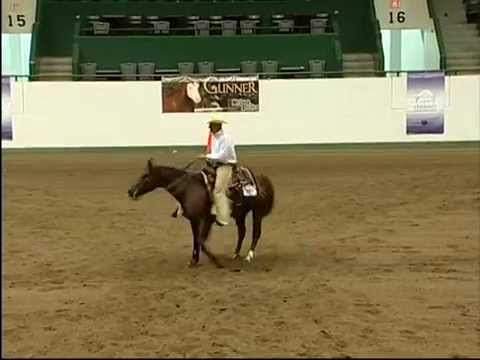 Colonel Pistolena 2005 chestnut gelding by Smart Little Pistol
