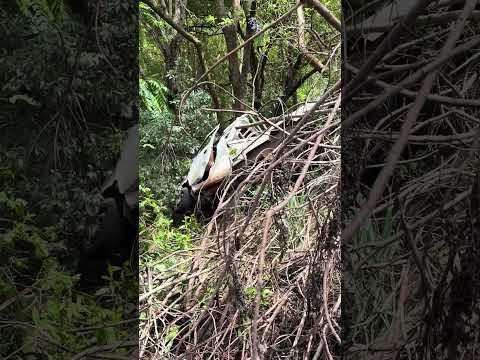 Morador de Abatiá perde a vida em acidente
