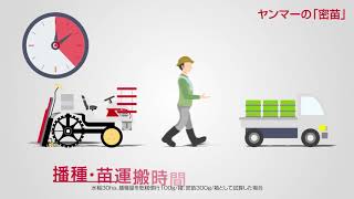 The Recommendation of "Dense Seedling" for Labor-Saving and Cost-Reducing Rice Cultivation - Yanmar Agri Co., Ltd. - | Mynavi Agriculture