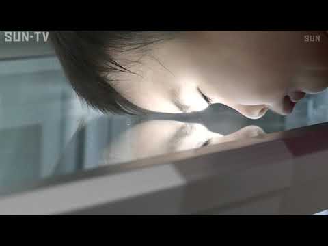 世界最小の恐竜