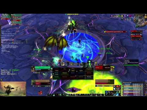 Wipe Hype vs Gul'dan Heroic - Mistweaver PoV