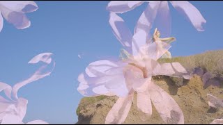 Aoife Nessa Frances – “Emptiness Follows”