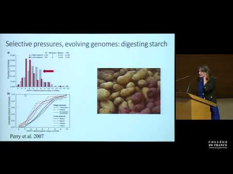 Microbiome and Human Evolution: (Micro)Biology Meets Anthropology (8) - P. Sansonetti (2017-2018)