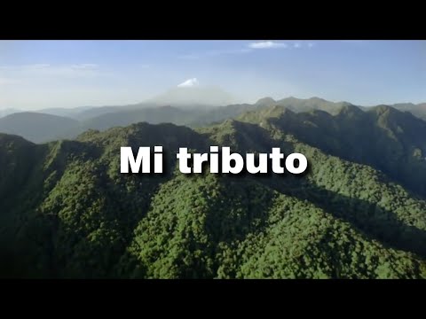 Mi tributo | ¡A Dios sea la gloria! Vol.1
