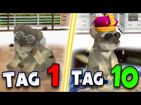 Ich habe 10 TAGE in NINTENDOGS gelebt!