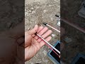 Pana O Sg Spearfishing Spearbullet Fishing