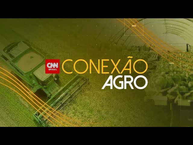 Conexão Agro: Veja os alimentos que ficaram mais caros com o “impacto da guerra” | CNN NOVO DIA