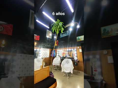 Tucumán barbershop 6 años en Monteagudo 288 smt #barbershop #barberia