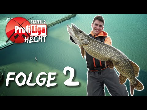 Hechte wie am Fließband! 🐊 Profi Liga Hecht Staffel 2, Folge 2