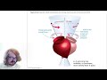 Astronomy 32 The Major Motions Of The Earth Part 1 Intro And Precession