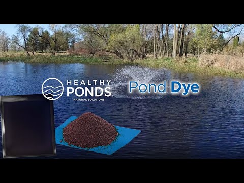 Natural Pond Dye Product Video