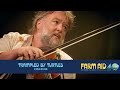 Trampled by Turtles – Codeine (Live at Farm Aid 40)