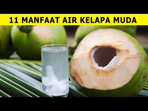 , title : '11 Manfaat Air Kelapa Muda Bagi Kesehatan'