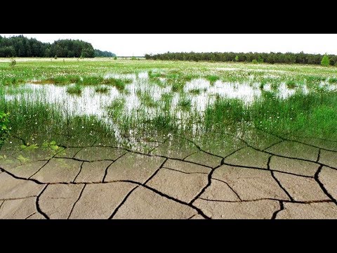 Bis zum letzten Tropfen  - Europas geheimer Wasserkrieg  - ARTE