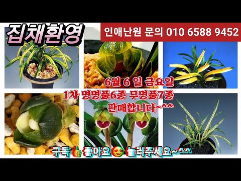 유튜브 썸네일