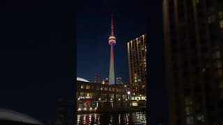 India to Canada status video | Dream Canada status | 🇨🇦 Toronto city | Journey Punjab to Canada