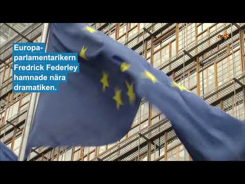 Flera döda i skottlossning vid julmarknad i Frankrike