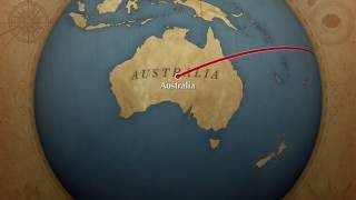 Homology and Analogy