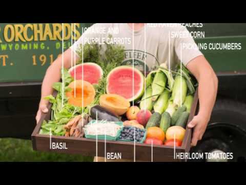 Fifer Orchards CSA Program  H264   HD 1080p29 97 2 15 16