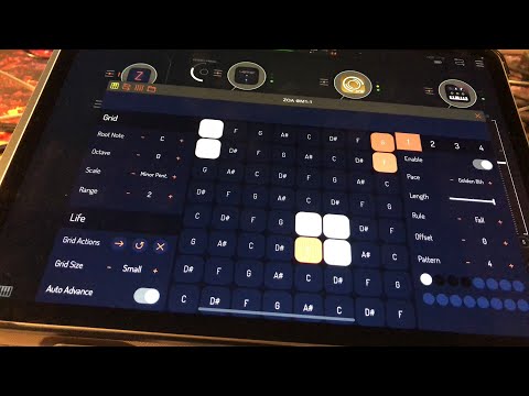 ZOA - Living MIDI Sequencer - Let’s Explore The Amazing Golden Ratio Feature - iPad Tutorial