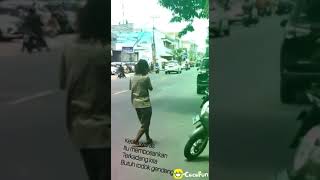 Download lagu Status  WA lucu  Orang gila mp3