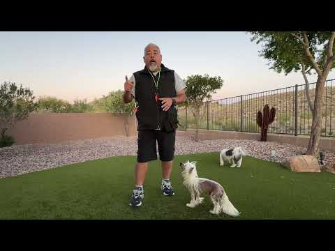 What's new for Eric Salas in 2024? - YouTube