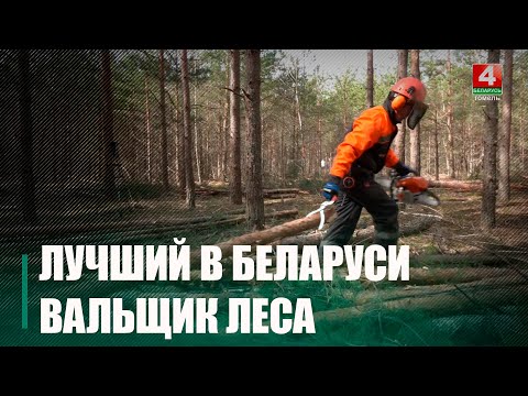 Лучший в Беларуси вальщик леса работает в Калинковичском районе видео