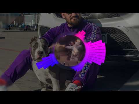 Kizo ft. Oki - Pogo (DJ VeXu Bootleg)